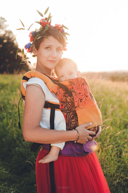 Friendly Lion Red, NatiGo Carrier