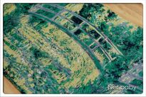 Water Lyly Pond With Japanese Bridge Reststücke Natibaby Water-Lyly-Pond-with-Japanese-Bridge-01.jpg
